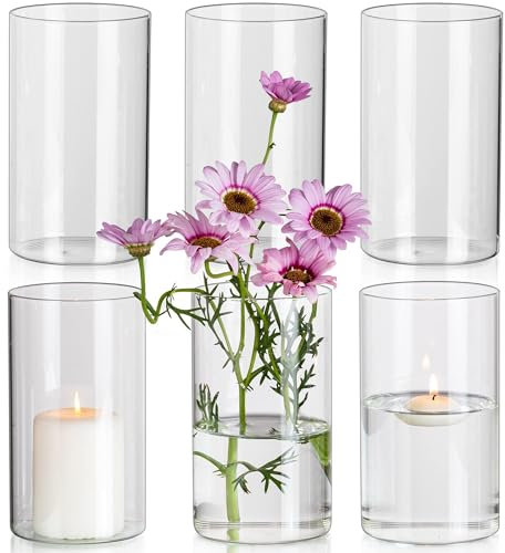 Glasseam Blumenvase Glas Vasen, 6 x Klar Kleine Vase Set, 15 x 8,5 cm Zylinder Runde Glasvase Schöne Blumenvasen für Tulpen, Minimalistische Dekovasen Kerzenhalter für Hochzeit Tischdeko Dekohaus