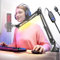 Mikrofon Arm, Galgenarm-Mikrofon, Faltbar Mikrofonarm, Schreibtischhalterung mit 3/8 Zoll auf 5/8 Zoll Schraubadapter, Verstellbarer Mikrofonständer für Podcasting, Gaming-Aufnahmen Schwarz (Black)