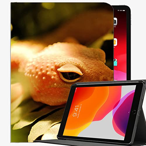 Coque pour iPad Air 2 9,7 Orange Lizard Pad116 Coque fine pour iPad Air 2 9,7