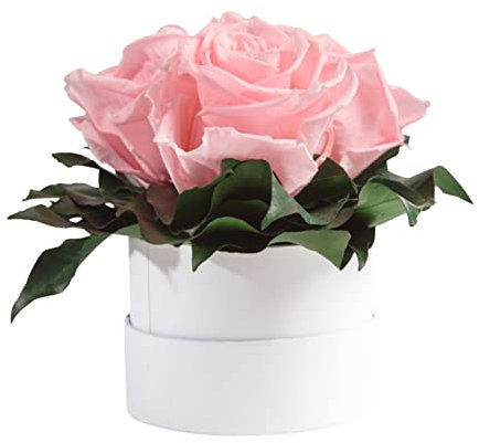 ROSEMARIE SCHULZ Heidelberg Infinity Rosenbox weiß rund konservierte Blumen Rosa - 3 Infinity Rosen Durchmesser 15 cm - Freundinnen Geschenkideen (Rosa, Medium)