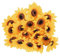 Ideen mit Herz Deko-Blüten, Kunstblumen, Blüten-Köpfe, Verschiedene Sorten, ca. Ø 7 cm (Sonnenblumen - gelb - 18 Stück)