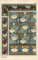 TVLAR Bekannt Wand-Kunst Bild Bilder Kunst Leinwand die Seerose Nelumbo Lutea von Eugene Grasset Bilderdruck auf Leinwand für Office Home Decor 60x90cm