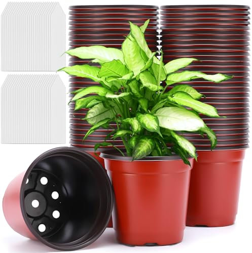 RDDAIPE 100 Stück Blumentöpfe Plastik Ø 10cm, Pflanztöpfe Kunststoff mit 100 Steckettiketten, Rund Pikiertöpfe, Klein Anzuchttöpfe Pflanzentopf für Innen Setzlinge, Pflanzen, Sukkulenten, Stecklinge