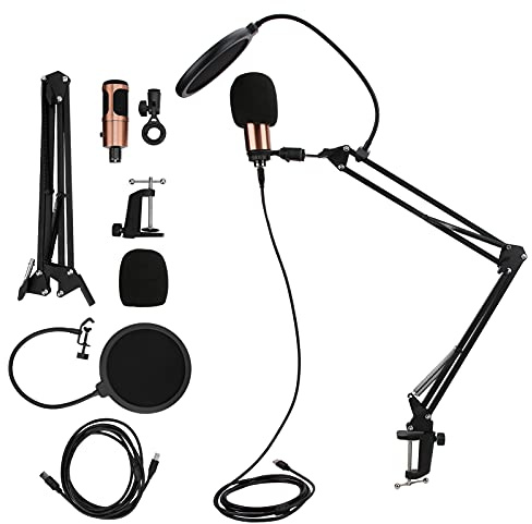 Ewxdghy Kit de Micro USB avec Bras Flexible, Ensemble de Microphone USB Professionnel, Motif de Micro cardioïde pour Enregistrement de Podcast, Streaming, Comprend Un Filtre Anti-Pop,