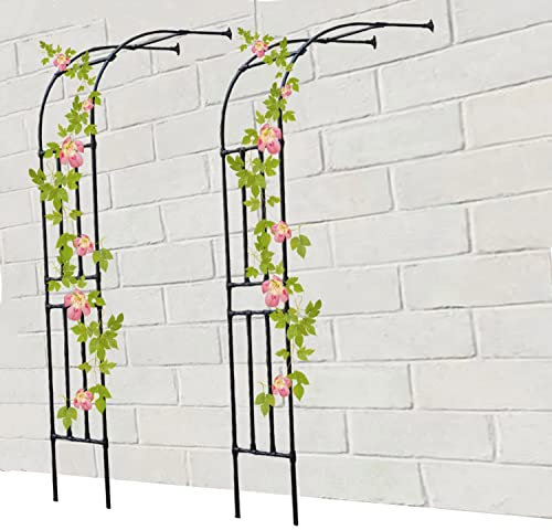 DJZZ Schwarz Halbbogen halbrund Rosenbogen Rost Rankhilfe Torbogen aus Metall stabil breit 60-300 cm Höhe 240cm verziert (Größe : 120x240cm)