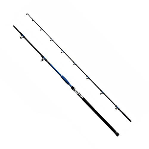 Delphin Hazard 285cm 500g Wels Angelrute