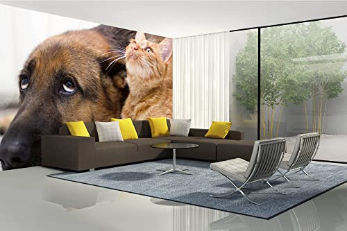 DIMEX LINE Non-Woven Photo Wallpaper CAT and Dog 375 x 250 cm - Non-Woven Wallpaper, Wall Mural, Wall Pictures - Wallpaper for Living Room, Bedroom, Office, Kitchen