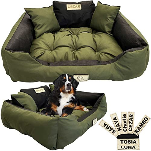EDANTI Hundebett Hundekissen Katzenbett Personalisiert Hundesofa mit Namen L - XL für große mittelgroße & kleine Hunde (115x95, Grün)