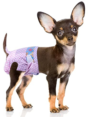 Flying Paws Absorbent Disposable Female Dog Period Pants in Season XS-20 | With Wetness Indicator,Waterproof Diapers,Leak Proof,Breathable,Wraps for Puppy Training, Excitable Urination, Incontinence