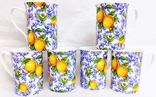 fromeuropewithlove Lot de 6 tasses en porcelaine anglaise Motif citron italien décoré à la main au Royaume-Uni