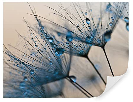 Tapeko Papier Peint Panoramique Fleurs 3D 360x250 cm style 3D Effet Fleurs Bleues Nature Papier Peint intissé pour Chambre Salon Décoration Murale u57557