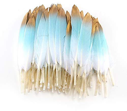 Sowder Bunte goldene Gänsefedern, 10–15 cm, für Kunst, Handwerk, Party, Dekoration, Kleidung, Zubehör, Entenfedern (Blau und Gold), 50 Stück