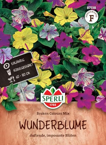 SPERLI Wunderblumensamen Broken Colours Mix - Einjährige Blumensaat, Duftende Sommerblumen Mischung, Wuchshöhe 60-80cm