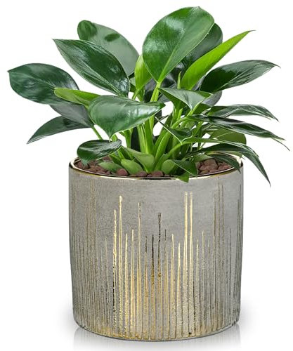 Hollyone 13.5CM Ceramic Plant Pot, Plant Planter with Drainage Hole and Plug, Decorative Garden Pot with Gold Patterns, Handmade Pottery for Succulent, Cactus, Orchid, Herb, House Plant
