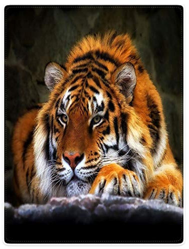 YISUMEI Decke 150x200 cm Kuscheldecken Sanft Flanell Weich Fleecedecke Tagesdecke Tiger kniend