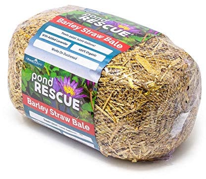 All Pond Solutions Natural Barley Straw Bale Blanket Duck Weed Treatment Control Treats Up To 5455 Litres (Pack Of Four)