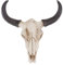 - -Wandskulptur, breiter Stier, Kunst-Taxidermie, Western-Wandhalterung, Ochse, Kuhkopf, Ornament für Zuhause, Büro, Dekoration, Geschenke