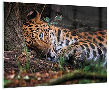 ARTTOR Glasbild 100x70cm Wandbild Glasdruck Afrika Natur - 4493