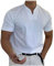 TIMELYE Herren T-Shirts Gentlemans Business Short Sleeve Fitness T Shirt Herren-Blusen für die Arbeit, professionell, Männer, lässig, solide, kurzärmlig, mit V-Ausschnitt, T-Shirt-Oberteil, Weiß