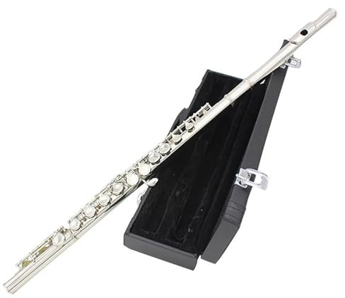 16-Loch-C-Flöte, Geschlossen, Offen, Kupfernickel, Versilbert, Konzertflöte Mit E-Klappe Und Box-Zubehör Querflöte kit