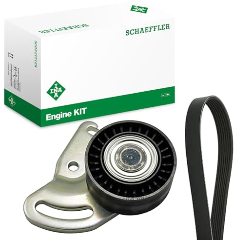 INA 529 0178 10 Keilrippenriemensatz 1133mm 5-Rippenanzahl Kompatibel mit RENAULT Clio 3 Schrägheck BR0/1, CR0/1 1172000QAN 7701476473 11720BN700