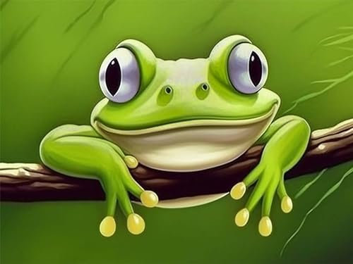 Bimkole DIY 5D Diamond Painting Zubehör Frosch, Abstraktes Gemälde Diamant Malerei Kit Voll Runde Bohrer Malen nach Zahlen Malerei Stickerei Kreuzstich Diamond Dekoration, (30x40 cm)