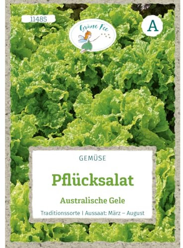 Grüne Fee - Pflücksalat Australische Gele Samen - 11485