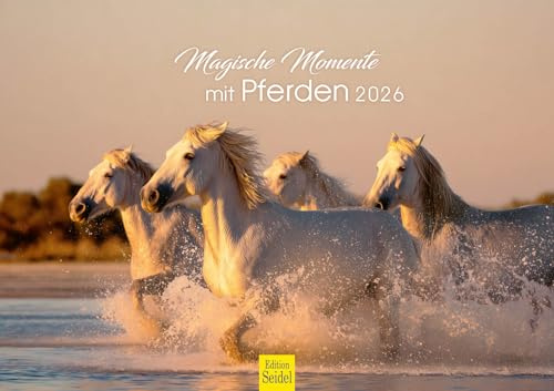 Edition Seidel Premium Kalender Magische Momente mit Pferden 2026 Format DIN A3 Wandkalender Pferdekalender Pferd Tiere Fohlen Stute Hengst Pony