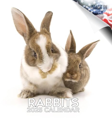 2024 2025 Hasenkalender – niedlicher Tier-Monats-Wandkalender – 30,5 x 61 cm offen – dickes Papier ohne Blutung – Geschenk – akademischer Lehrerplaner Kalender Organisieren und Planen