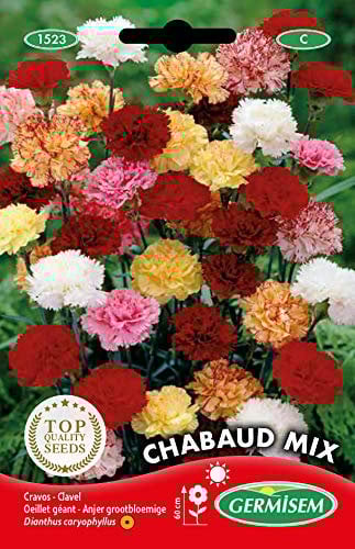 Germisem Graines Oeillet géant CHABAUD MIX