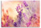 Pixxprint Glasbild, Wandbild aus Echtglas, Eleganter Lavendel, 100x70 cm, inkl. Aufhängung und Abstandshalter