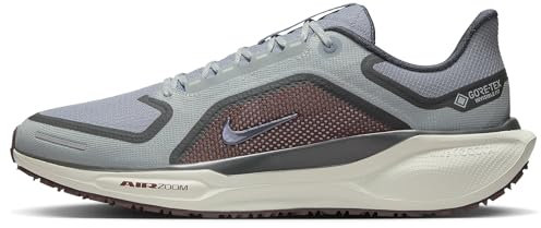 Nike Pegasus 41 Gore-TEX Wasserdichter Herren Straßenlaufschuh, Light Pumice/Ashen Slate-Burgundy Crush, 43 EU