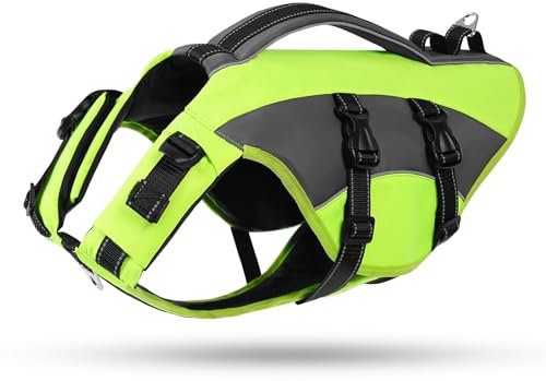 CITÉTOILE Hunde Schwimmweste mit Griff und Reflektierend, Einstellbare Rettungsweste für Kleine Mittel Große Hunde, Langlebigem für Wassersport Schwimmen und Bootfahren, Grün, S