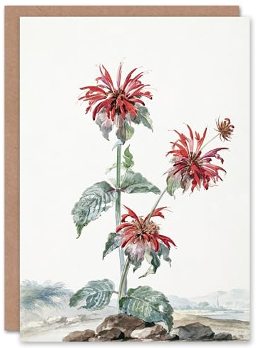Artery8 Aert Schouman Art Card Red Bergamot Flowers in a Landscape