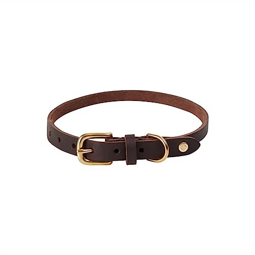 OYOY Zoo Z60028 Hundehalsband, Rotkehlchen, Größe M, Choko