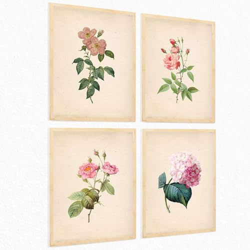 Nacnic ® - Set di 4 Poster botanica - Stampe Decorative da Parete - Quadri Moderni per Soggiorno - Poster floreale rosa da pareteA3 - Senza Cornice