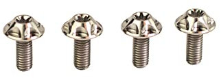 SILCA Titan-Wasserflaschenhalter-Schrauben | 4er-Set | Kundenspezifischer breiter Flachrundkopf T25