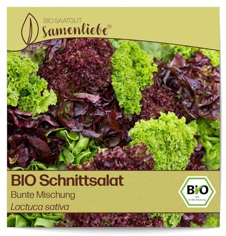 Samenliebe BIO Schnittsalat Samen Bunte Mischung Kopfsalat großer Salat bunt 500 Samen samenfestes Gemüse Saatgut für Gewächshaus Freiland und Balkon BIO Gemüsesamen