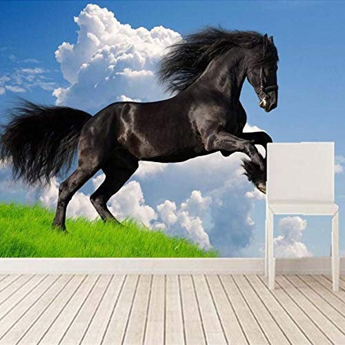 SIBUHUAU 3D paysage naturel bleu ciel nuages blancs cheval noir papier peint mural salon canapé TV fond papier peint décoration de la maison