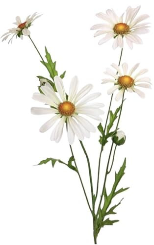 Floratexx Künstliche Margerite 60cm. Wiesenblume, Kunstblume wie echt, Dekoration, weiß Creme-Weiss