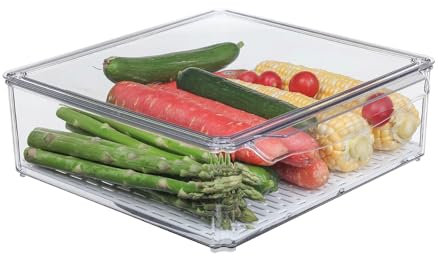 Santiccipa Kühlschrank-Aufbewahrungsbox mit Deckel, stapelbar, transparent, für Obst, Gemüse und Fleisch, Vorratsbehälter für Salatbar (1 x großer Aufbewahrungsbehälter)
