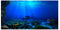 Décoration pour aquarium - Effet 3D - Autocollant en PVC - Décoration de fond - Décoration de fond - Papier autocollant