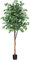 Kazeila Plante Artificielle Interieur 210cm Arbre Artificiel Ficus avec Troncs Naturels Fausse Plante Grande pour Intérieur Extérieur Maison Décoration