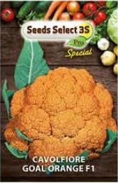 Seeds Select 35 Semi di Cavolfiore Arancione Orange Heart F1, Bustina da Giardino