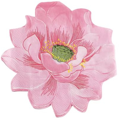 ARYIMYDP 40 Pezzi Tovagliette Carta Monouso Rosa con Motivo Floreale Primaverile,Ideale per Feste di Compleanno, Matrimoni, Decorazioni in Cucina e Addii al