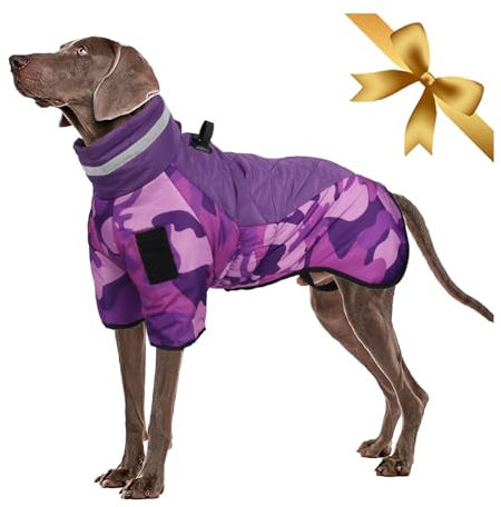 Vivi Bear Hundemantel Winter, Wasserdicht Warme Hundejacke Winddichter Hundeweste Grosse, Verstellbare Wintermantel Hund mit Geschirr D-Ring & Reflektierender Entwurf, Lila 6XL