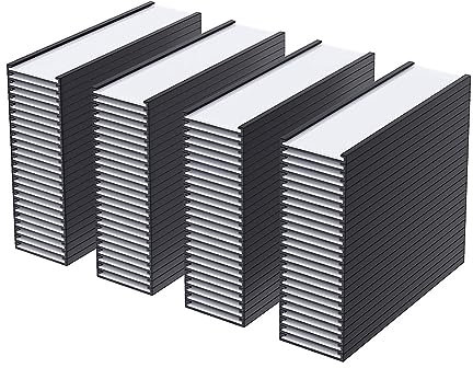 Liseng 100 supporti magnetici per etichette a canale C, con protezione in plastica trasparente