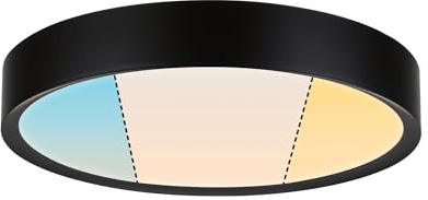 Paulmann 71086 LED Deckenleuchte Selection Bathroom Tega IP44 White Switch 1200lm 230V 22,5W Schwarz matt Badleuchte Badleuchte