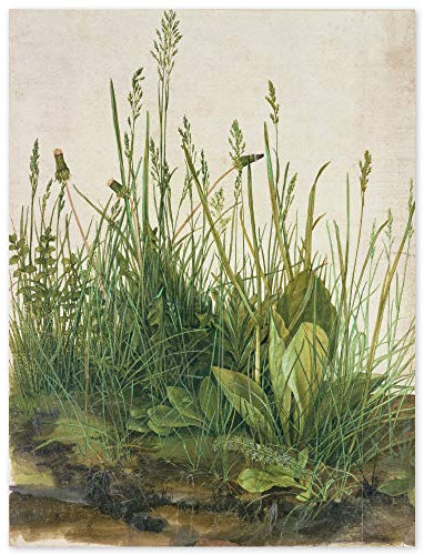 JUNIWORDS Poster, Albrecht Dürer, Das große Rasenstück, 20 x 26,5 cm