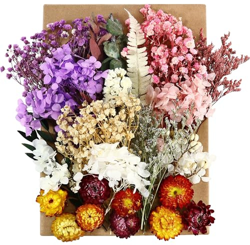 3 Boxes Natural Dried Flowers Set, Mixed Pressed Dried Flowers & Leaves | Multiple Real Decorative Flowers, For DIY Art Craft Jewelry Candle Soap, For Phone Case Scrapbooking Nail Stickers